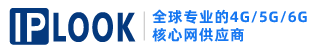 IPLOOK Logo